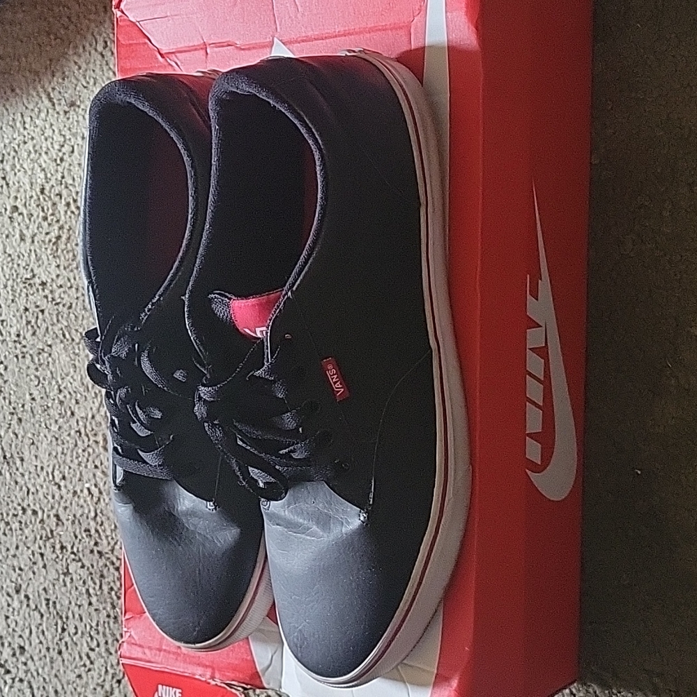 Leather Vans